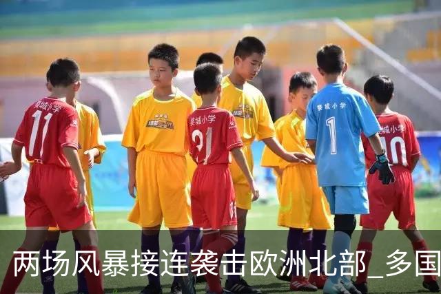 两场风暴接连袭击欧洲北部 多国电力中断