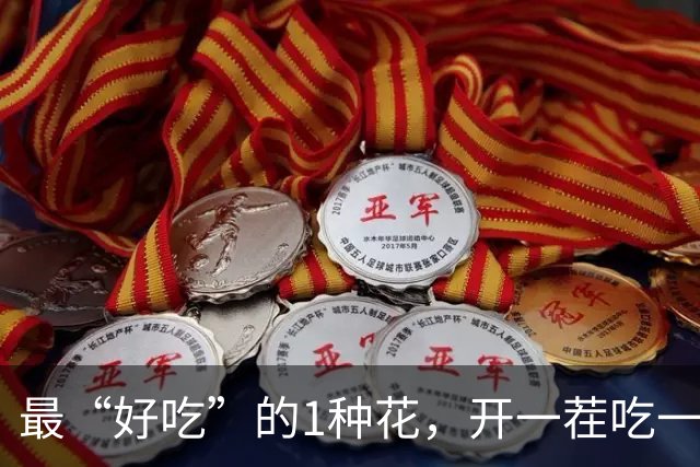 最“好吃”的1种花，开一茬吃一茬，一开200天，摘来炒鸡蛋最香