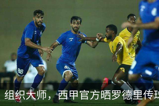 组织大师，西甲官方晒罗德里传球线路图：129次传球成功率98%
