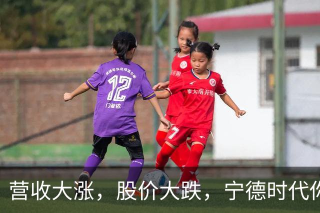 营收大涨，股价大跌，宁德时代你到底咋了？