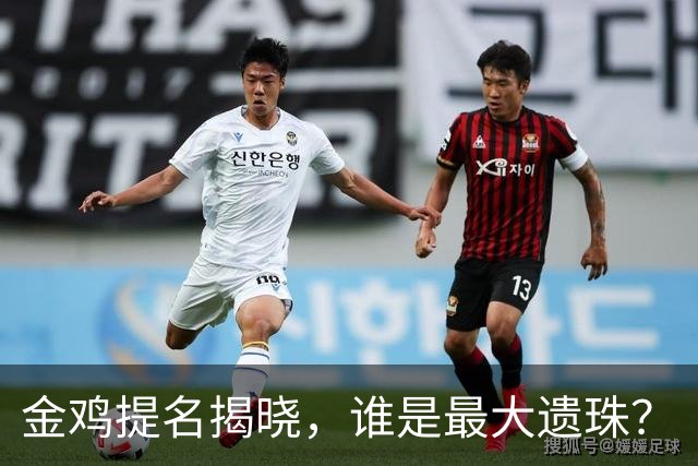 金鸡提名揭晓，谁是最大遗珠？